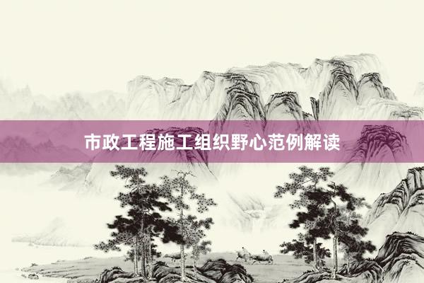 市政工程施工组织野心范例解读
